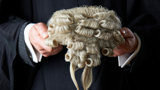 barrister wig