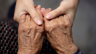 hands