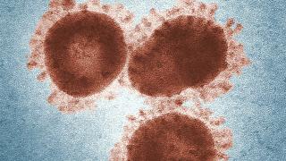 Coronavirus